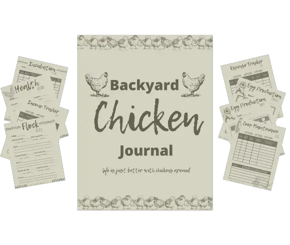 Backyard Chicken Journal Printables που δείχνουν εικόνες για κάθε μία από τις σελίδες